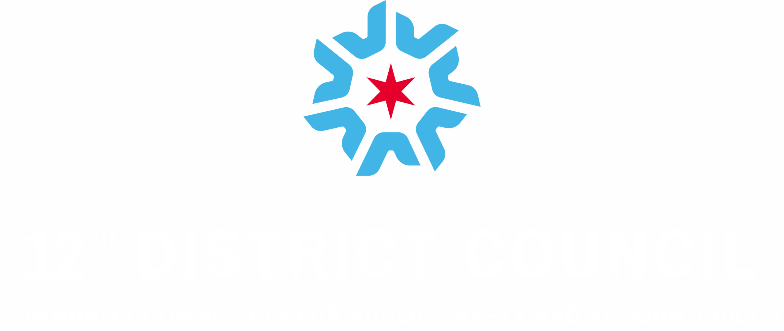 District Council 12 Logo