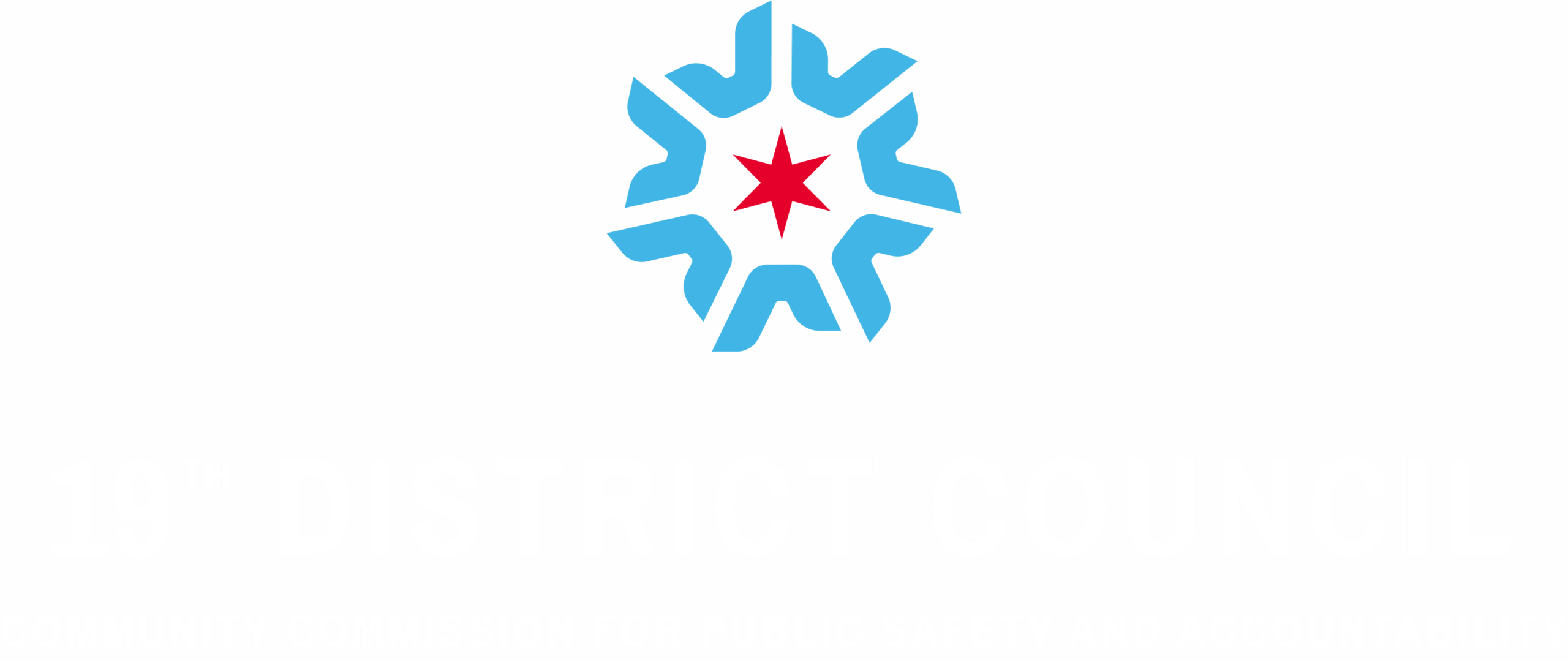 District Council 19 Logo